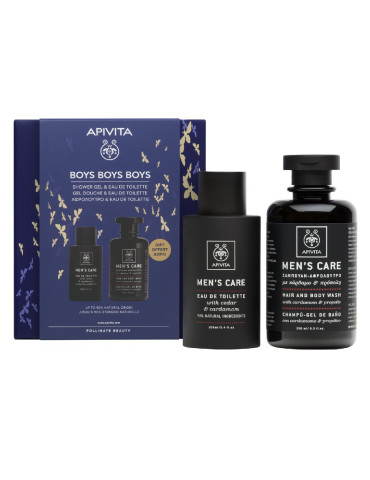 APIVITA PACK NAVIDAD - MEN´S CARE EAU DE TOILETTE + CHAMPÚ-GEL